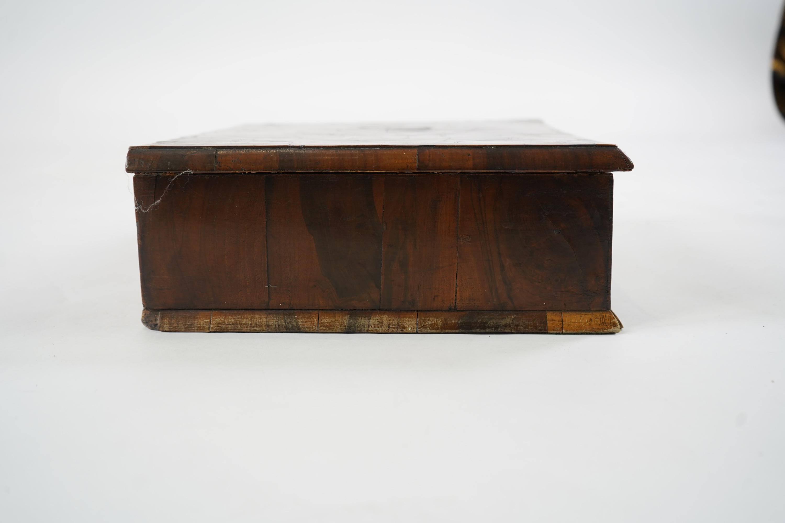 A William and Mary oyster olivewood veneered lace box